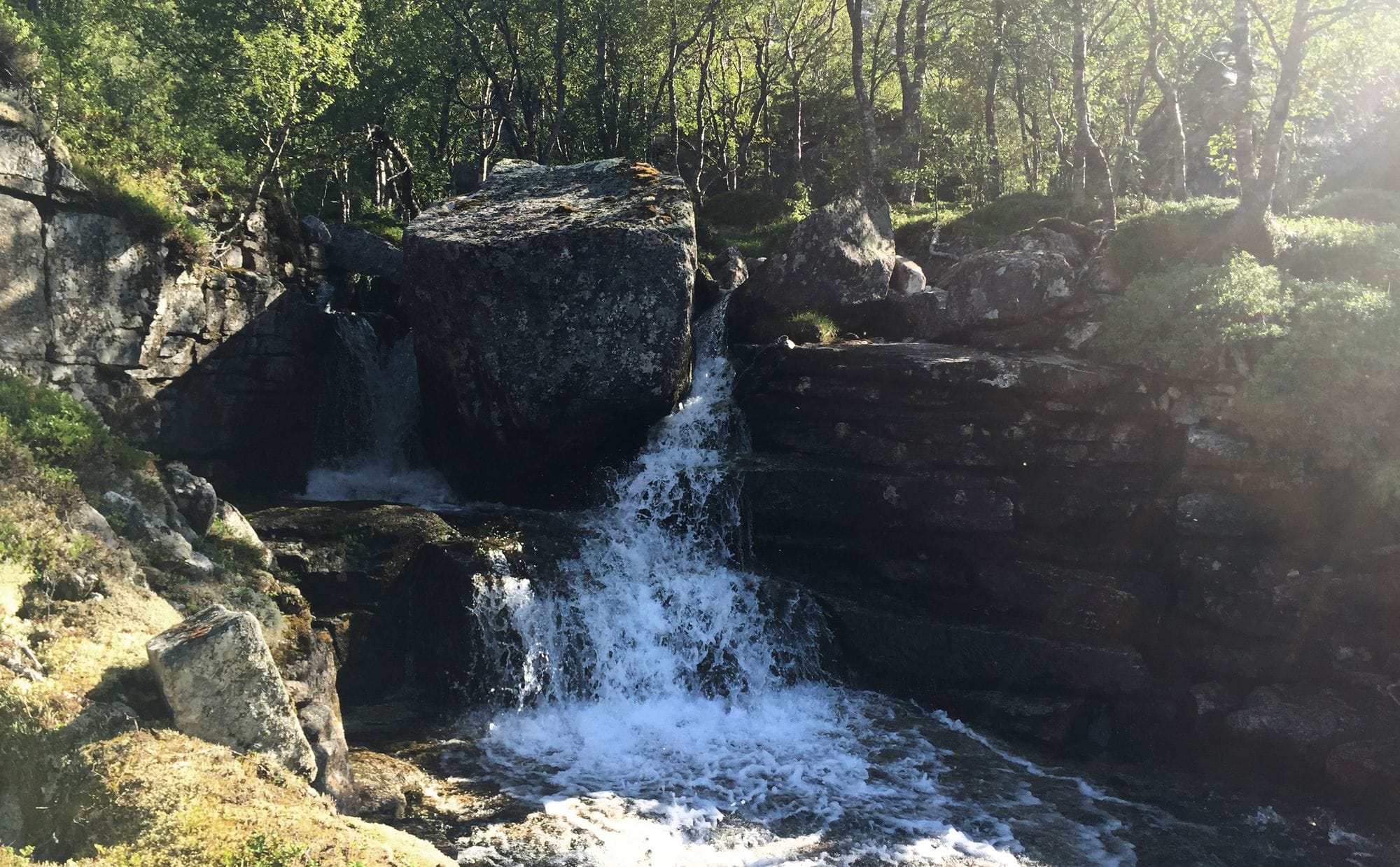 A small waterfall falls along a cliff and into a river. trees on the upper banks, rocks on either side of the river