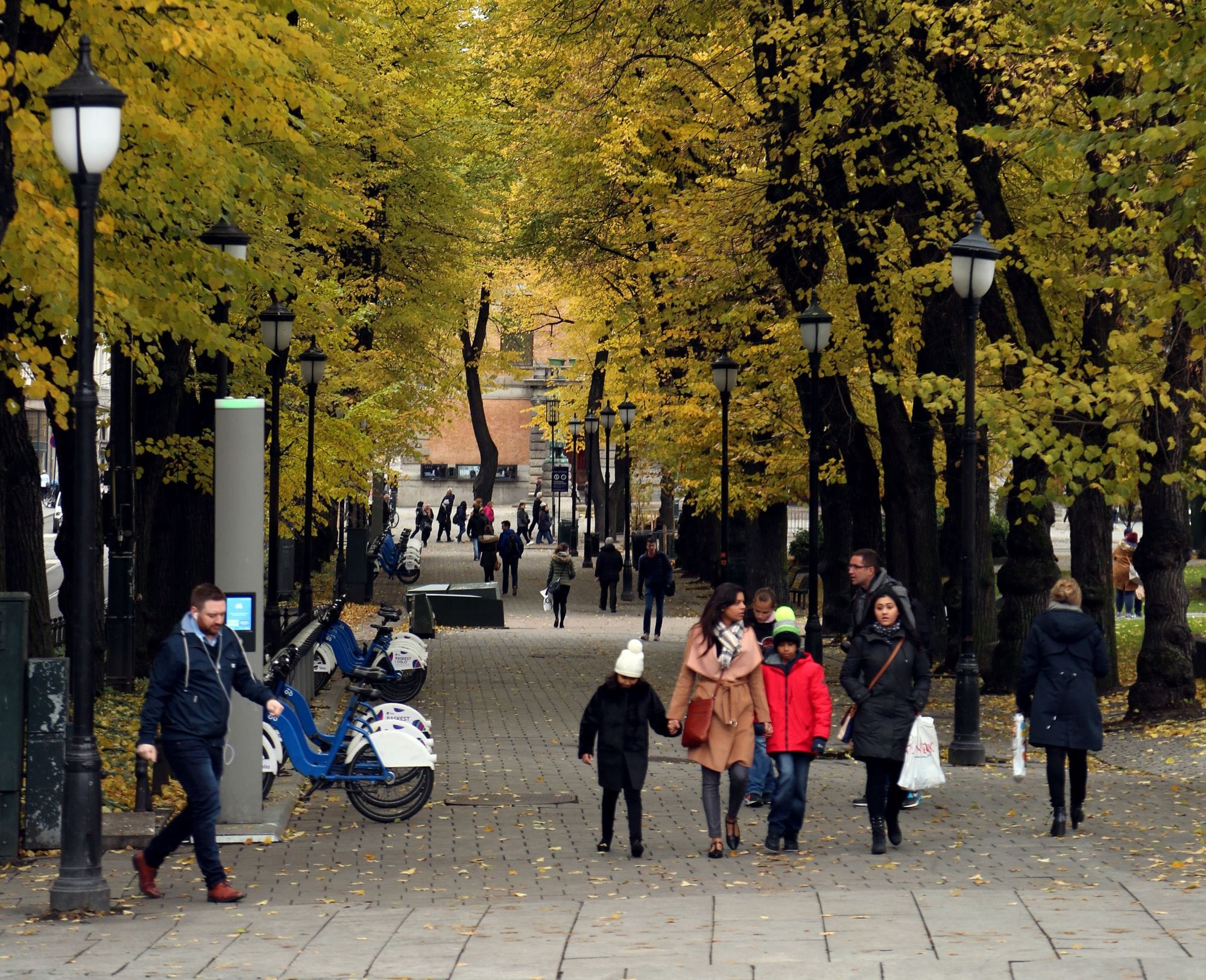 Cityscape, people walking between trees on a street, rent a bike system on the right side. 